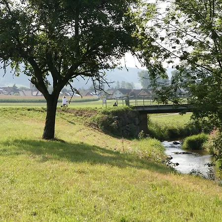 Ferienwohnung Dominika*** * Seelbach (Baden-Wurttemberg)