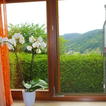 Διαμέρισμα Ferienwohnung Dominika*** Seelbach (Baden-Wurttemberg)